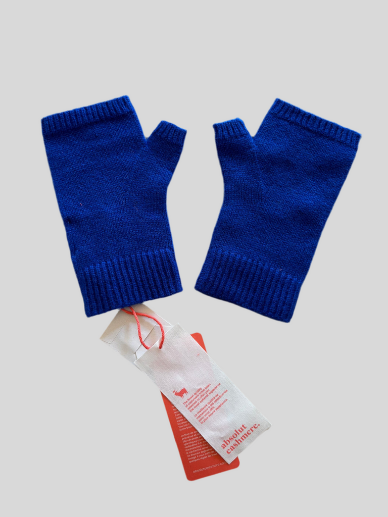 Absolut Cashmere Kian Fairy Blue gloves