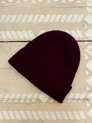 Absolut Cashmere Maeve Eggplant beanie