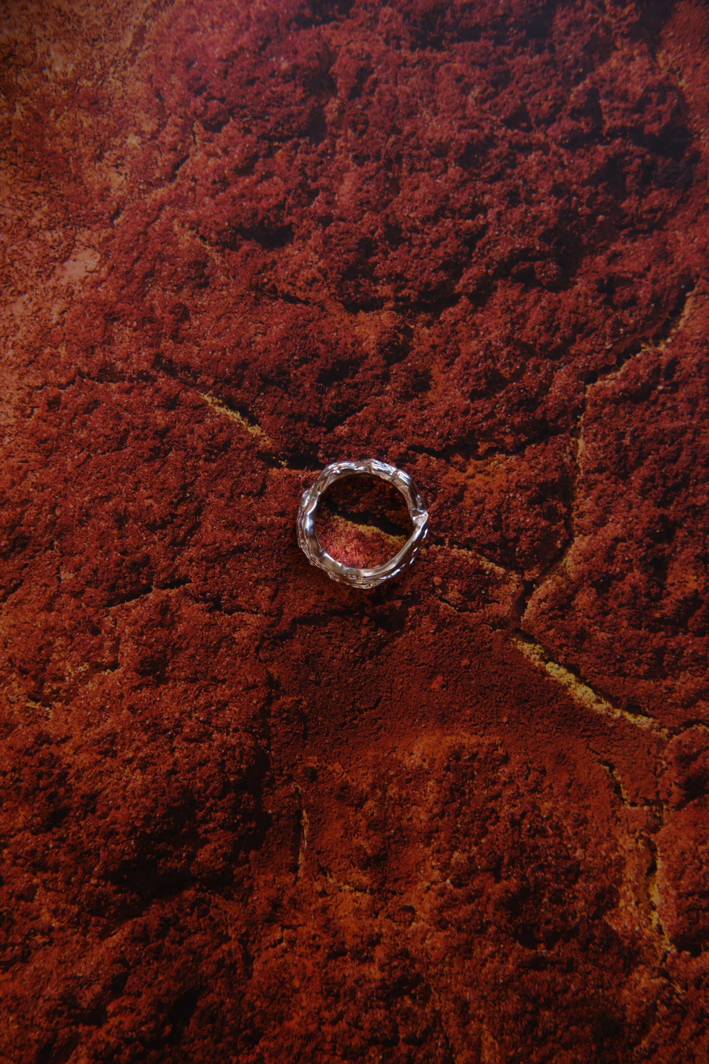 Anello Outerin Layered Earth Silver